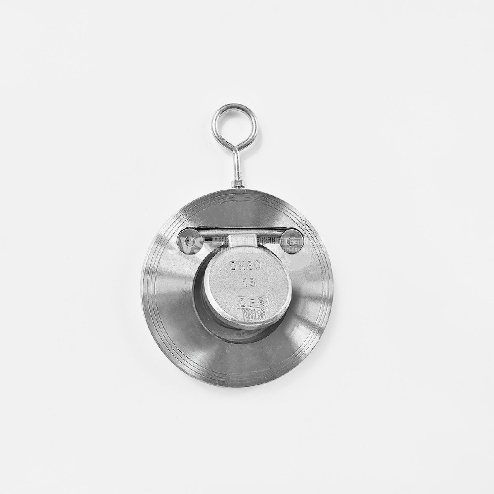 Stainless steel 304 plate check valve